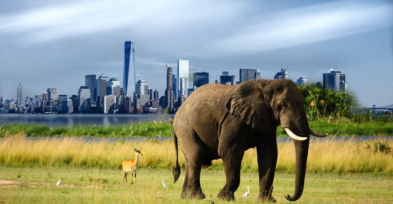 Das Bild kann im Moment nicht geladen werden