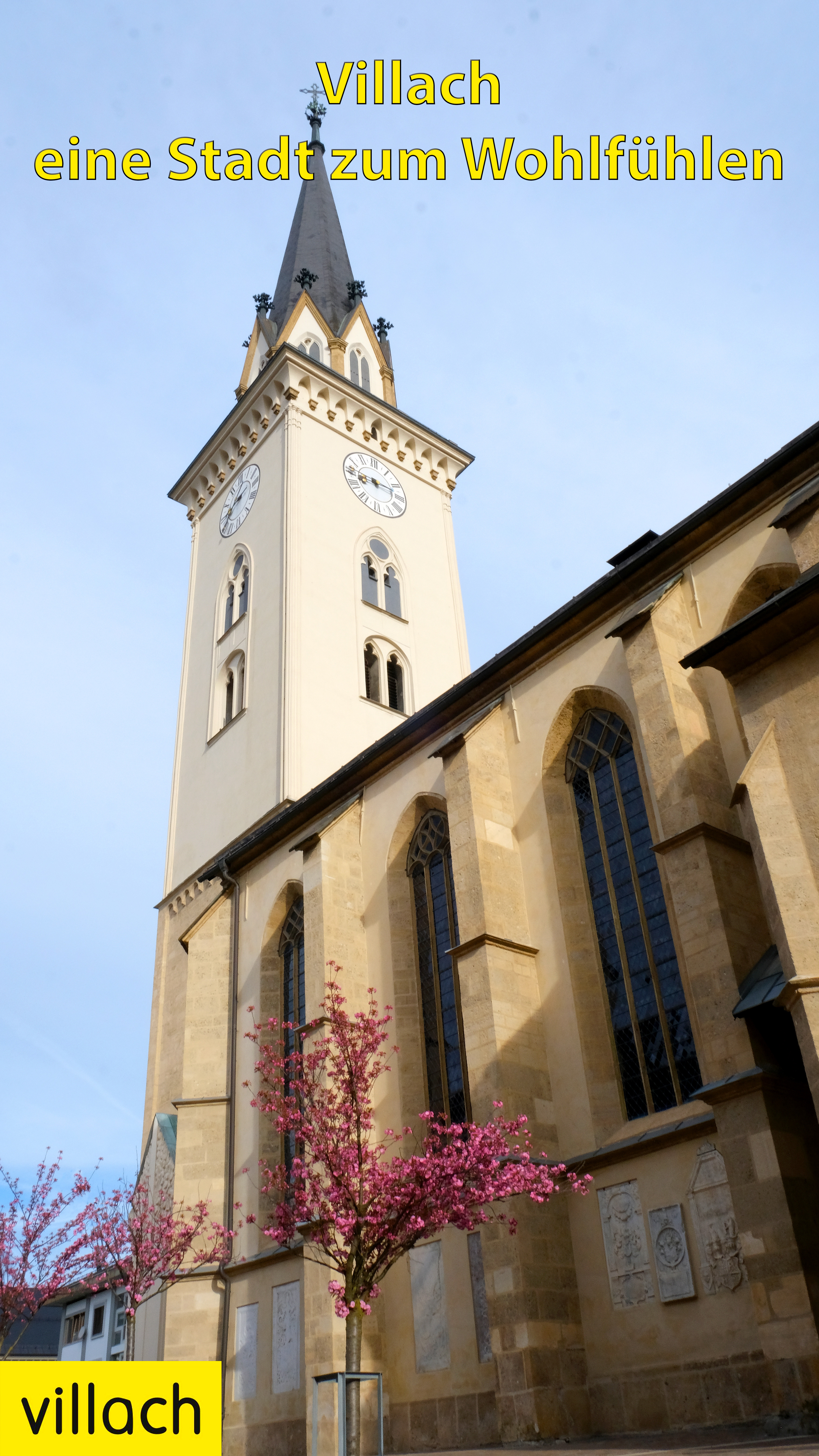 Das Bild kann im Moment nicht geladen werden